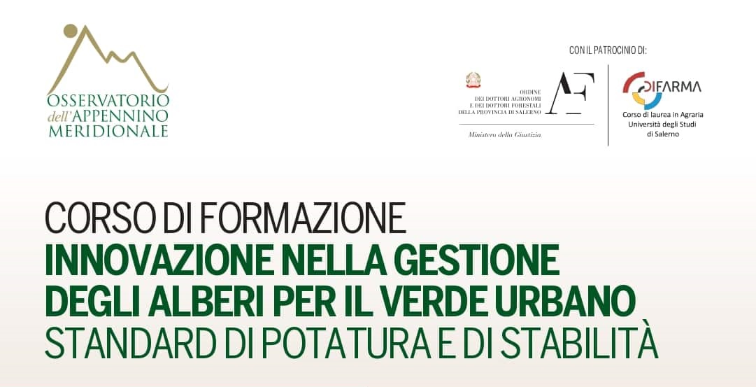 Verde urbano:”Tutela e salvaguardia dell’ambiente”: si chiude il Corso sulla gestione degli alberi per il verde urbano, tra nuovi standard di potatura e stabilità